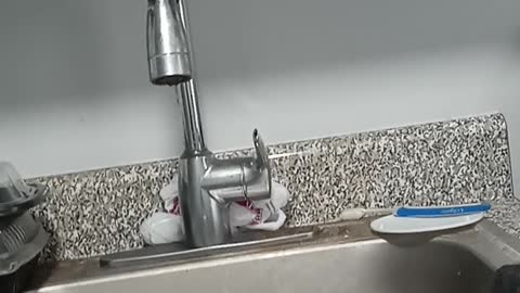 Adams seeks to set new tone for NYC as mayor-elect