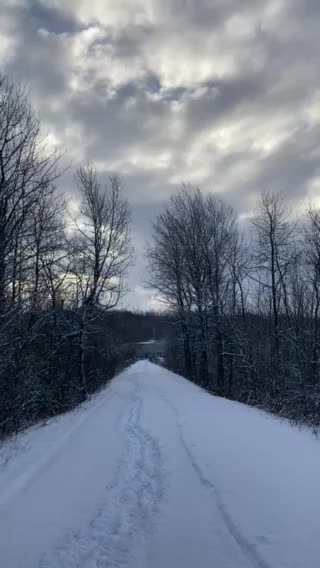 Oddly odd. Dark yet bright.