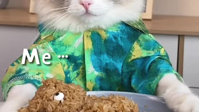 The cat has prepared his own food
