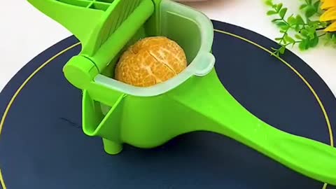 Handy Juicer