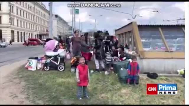Ukrajinští Romové jsou v Brně velkým problémem a nikdo neví co s nimi