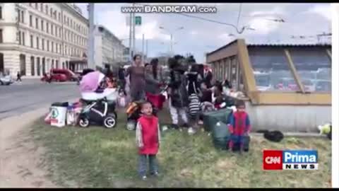 Ukrajinští Romové jsou v Brně velkým problémem a nikdo neví co s nimi