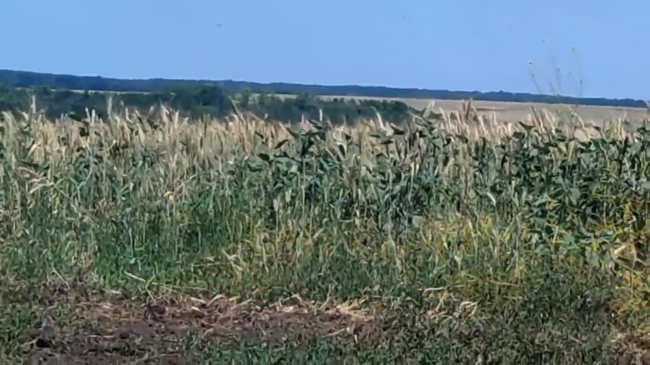 The Ukrainian military with 9ODShBr liquidated the Russian attack helicopter Ka