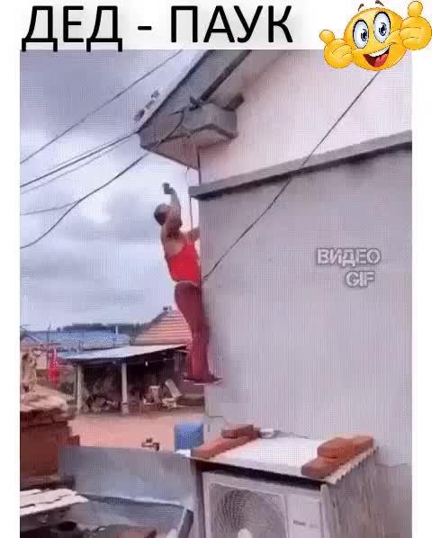 Grandfather is a spider)Дед - паук)