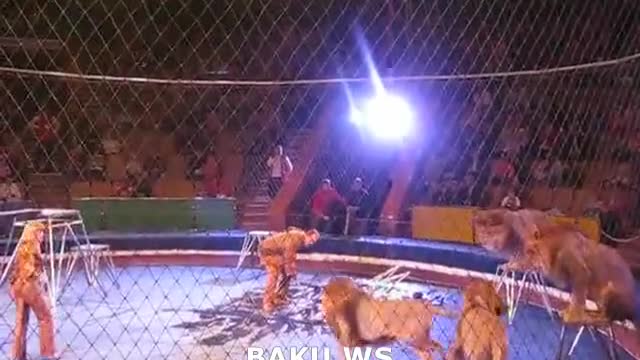 There was a sudden attack of mysteries in the circus