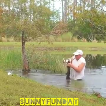 The man saves the dog from the crocodile🐊