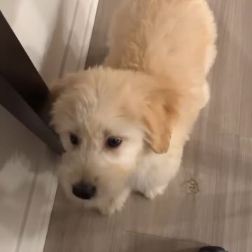 Trying to communicate with my dad