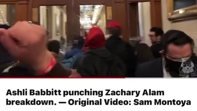 Posobiec: Ashli Babbitt punched and tried to stop Zachary Alam