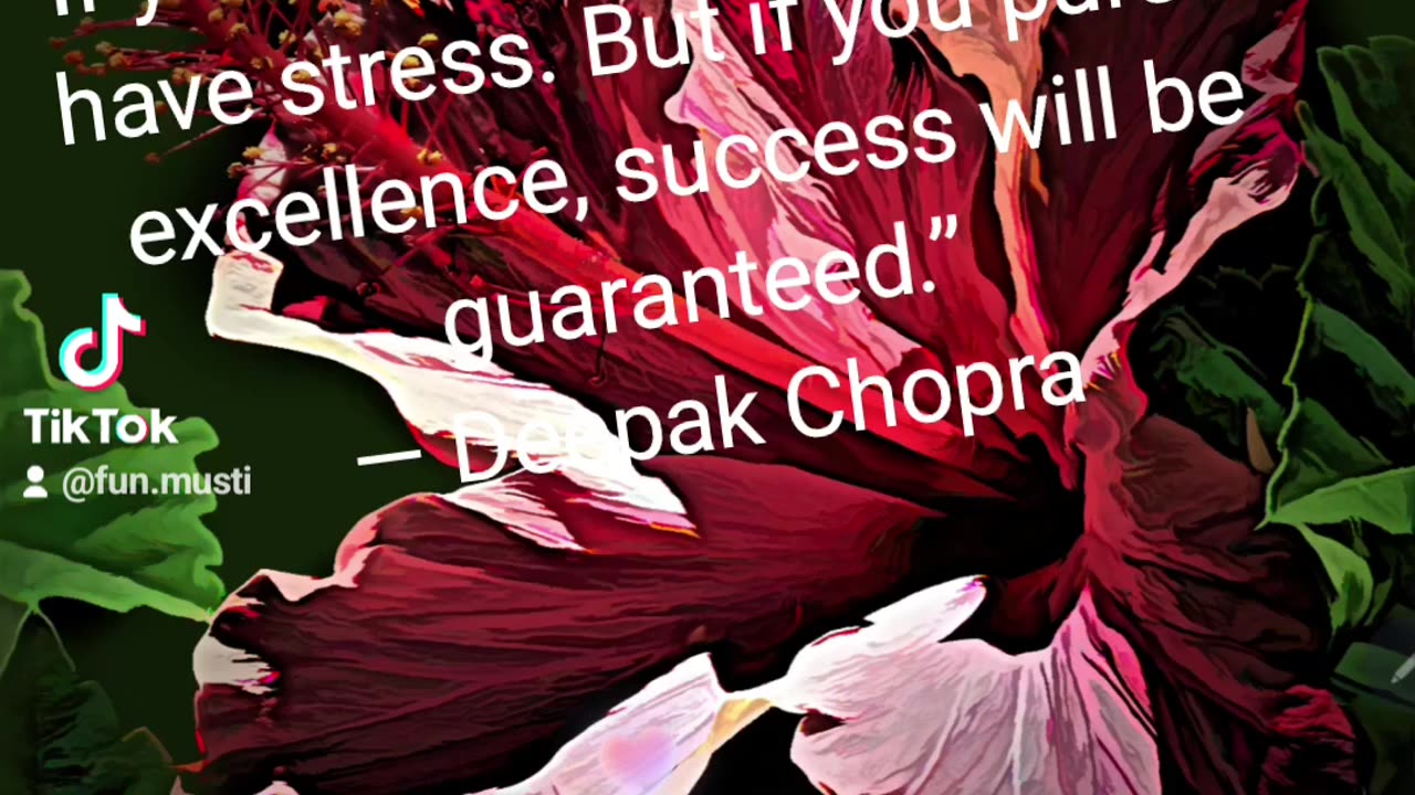 If you focus on success.........🫀💕💫