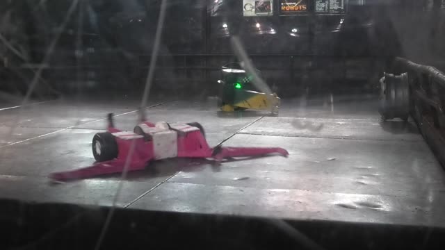 Extreme Robots Cheltenham 2019: Two Headed Death Flamingo Vs Ripper