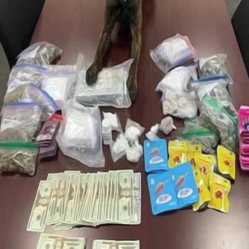 K9 Hudson: Heroic Hudson