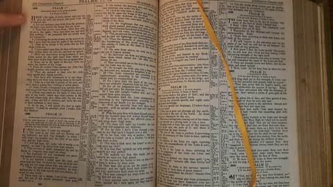 Psalm 17