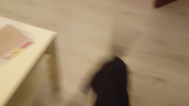 Guy flips off black dog and it jumps at him