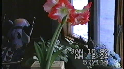 1992 Bonnie's Flowers