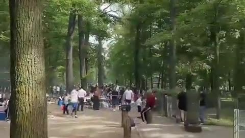 park in Frankfurt, Germany looks like today. There are no Germans in sight.