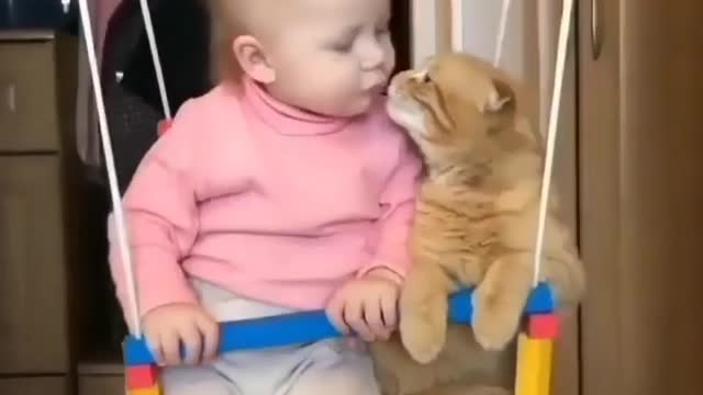 Baby kissing his cat