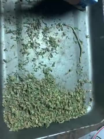 First marijuana video on brand new channel