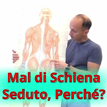 Mal di Schiena: Perché ho Male da Seduto? Scoprilo!