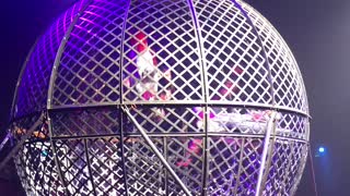 Race bikes in cage