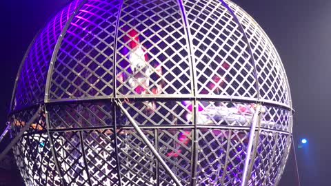 Race bikes in cage