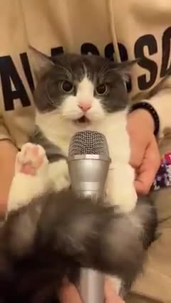 Wanna sing with him?