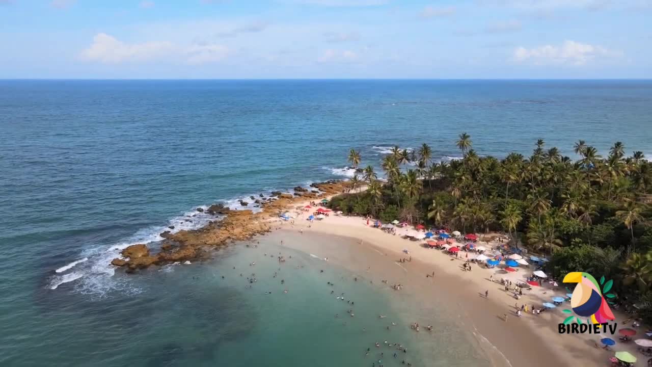 Brazilian Beach | Coqueirinho Beach - Conde - Paraiba - Brazil