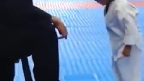 funny little karate master