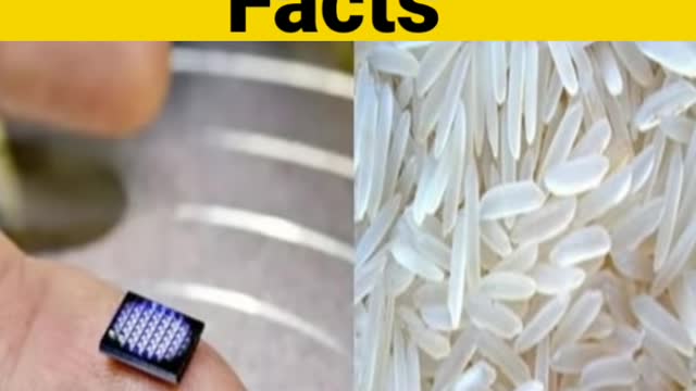 Amazing facts