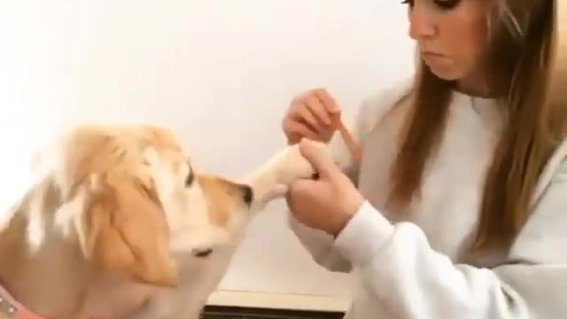 Do it to me🐕