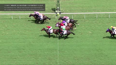 Horse_Race_2022060504_Chinese