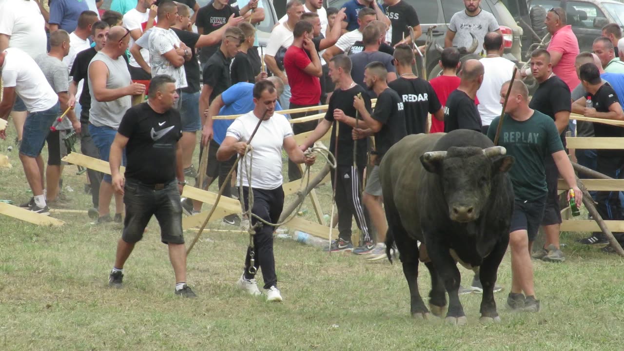 Peran od Karasalihovića vs Peran od Kadrića Visoko 2024