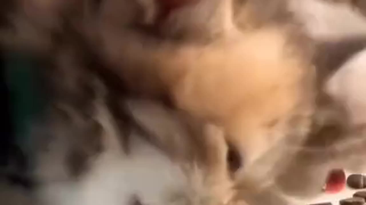 Every Family Got At Least One