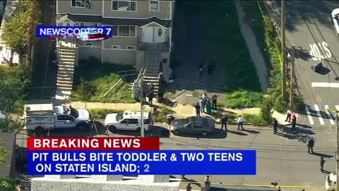 2 teens, toddler attacked by pit bulls on Staten Island