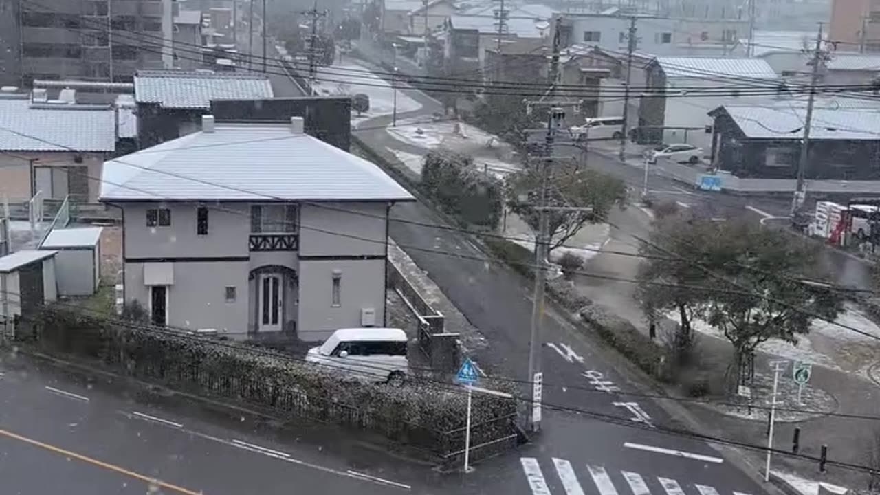 It's snowing here in Japan