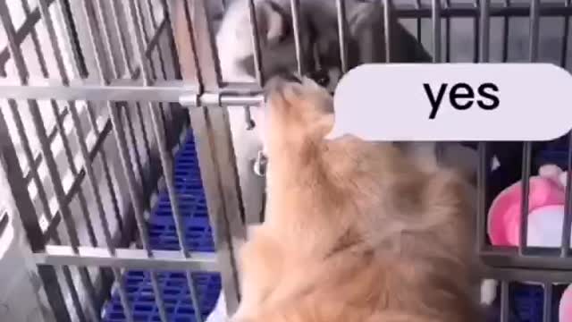 your best friend let him know