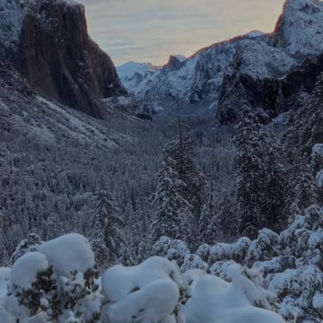 Whar are you chasing ?