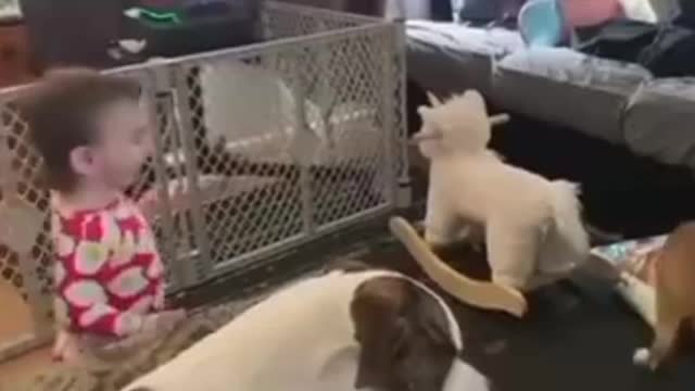 Cute babies and Cute pets