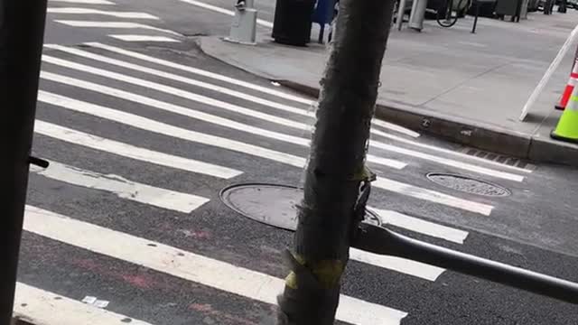 Guy grey shorts blue hat dancing spinning in streets