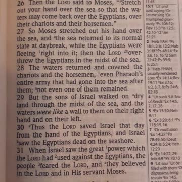 CONFUSION over World Health Organization Assembly