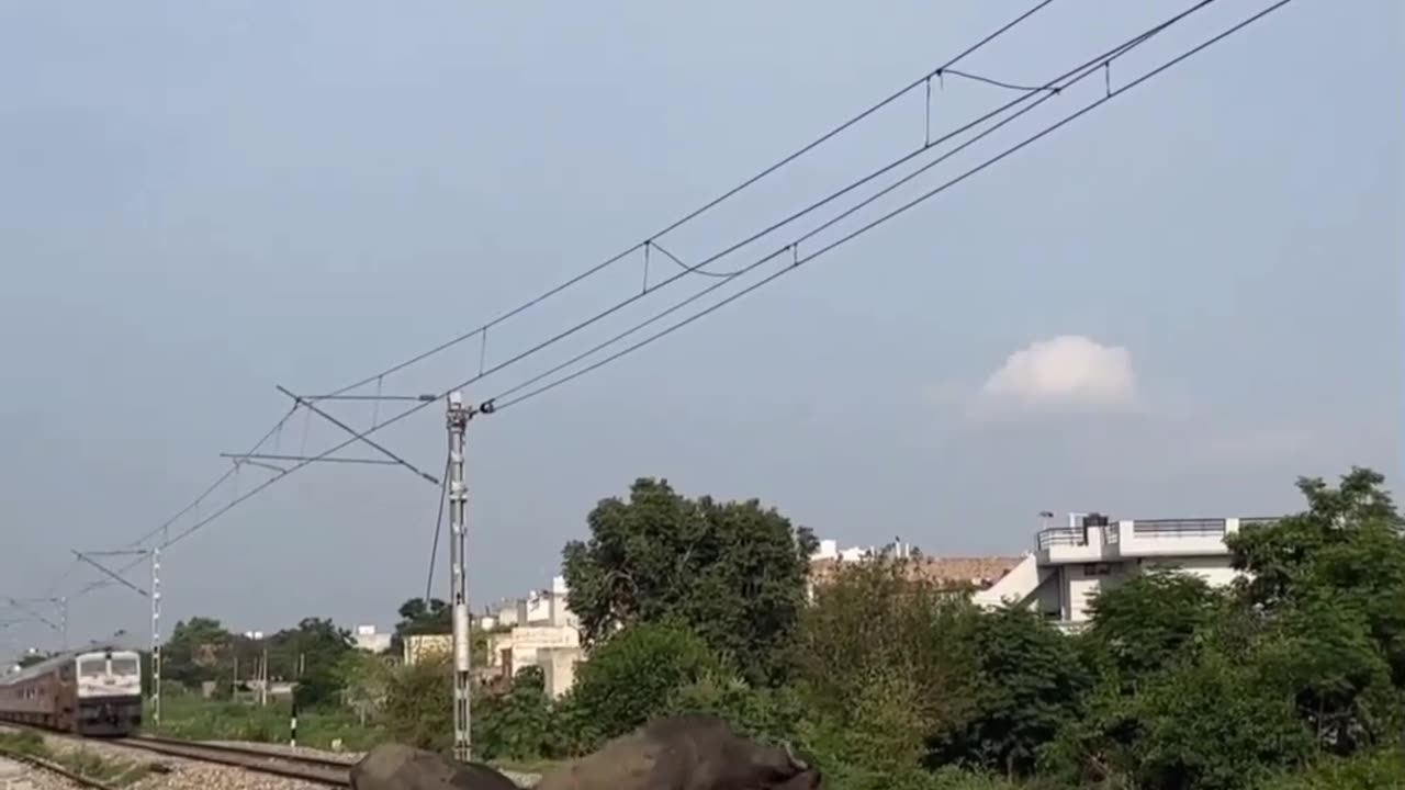 Live train accident