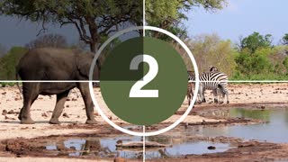 For the love of Travel 4 Day Countdown