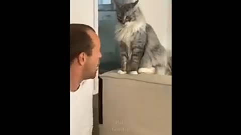 Extremely funny pets