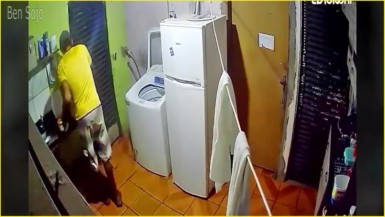 Thieves Disappointed When Encountering Dogs! - Instant Karma