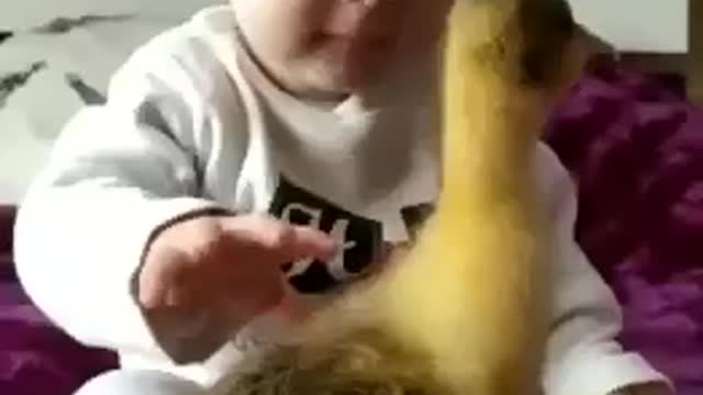 Most Adorable Baby And Smile With Duckling