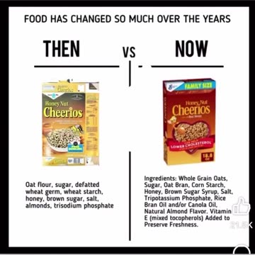 Michael Jackson · They Don't Care About Us