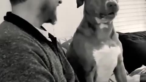 Dog funny video with owner 😂