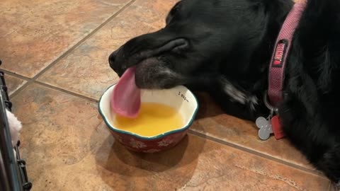 When The Soup Starts Tasting Like a Nap