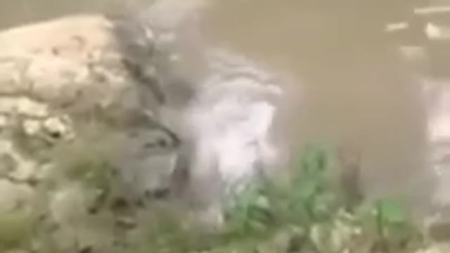 Flat Bridge Mermaid Caught On Camera In Jamaica 🇯🇲