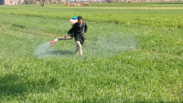 A young man sprays agricultural crops.