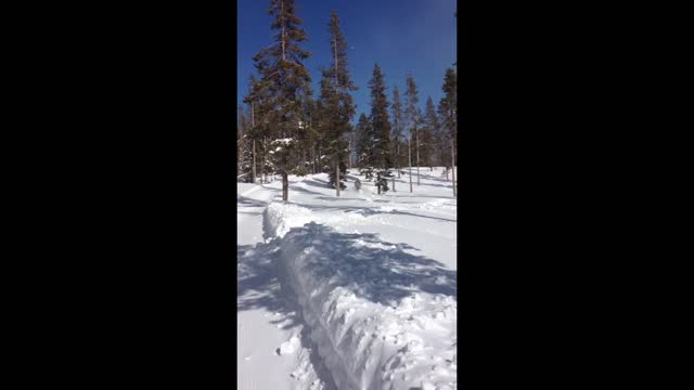 Mt. Bachelor Snowmobile